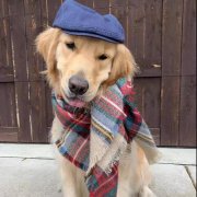 你就是那汪界網紅、弄潮兒?