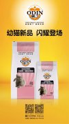 奧丁精品幼貓糧閃耀登場?。?！